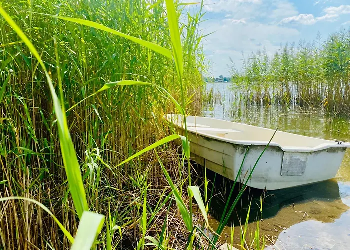 Sunshine Sunshine Nad Jeziorem Kominek I Wanna W Salonie Ogród Balkon *